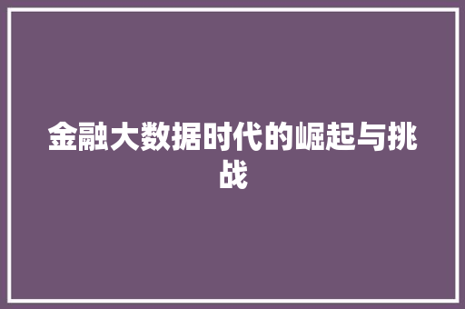 金融大数据时代的崛起与挑战  第1张