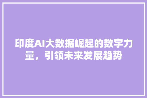 印度AI大数据崛起的数字力量，引领未来发展趋势