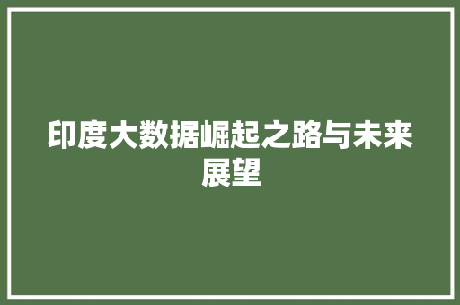 印度大数据崛起之路与未来展望