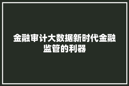 金融审计大数据新时代金融监管的利器
