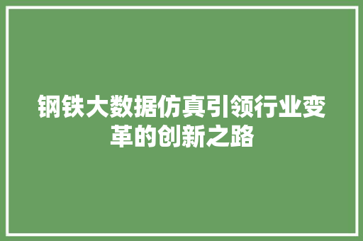 钢铁大数据仿真引领行业变革的创新之路