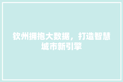 钦州拥抱大数据，打造智慧城市新引擎