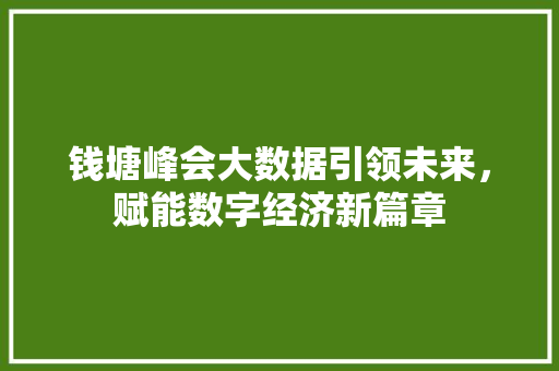 钱塘峰会大数据引领未来，赋能数字经济新篇章