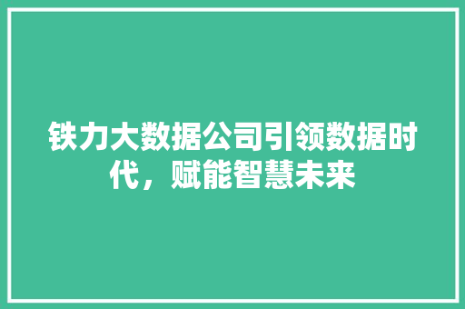 铁力大数据公司引领数据时代，赋能智慧未来