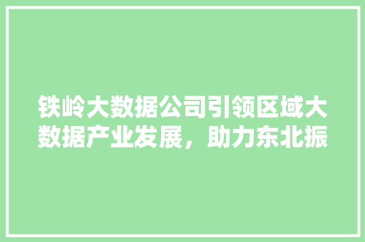 铁岭大数据公司引领区域大数据产业发展，助力东北振兴