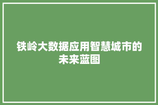 铁岭大数据应用智慧城市的未来蓝图
