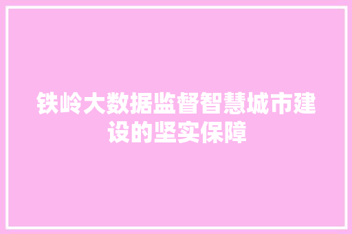铁岭大数据监督智慧城市建设的坚实保障