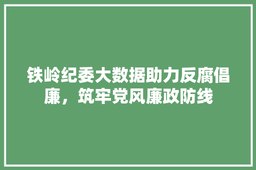 铁岭纪委大数据助力反腐倡廉，筑牢党风廉政防线
