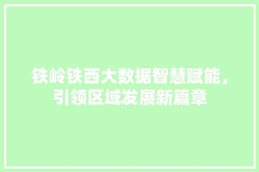 铁岭铁西大数据智慧赋能，引领区域发展新篇章