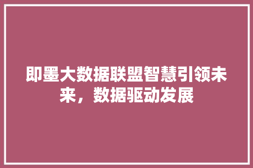 即墨大数据联盟智慧引领未来，数据驱动发展