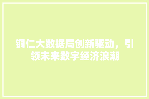 铜仁大数据局创新驱动，引领未来数字经济浪潮