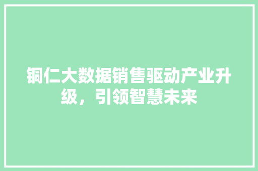 铜仁大数据销售驱动产业升级，引领智慧未来