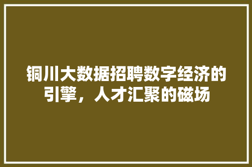 铜川大数据招聘数字经济的引擎，人才汇聚的磁场
