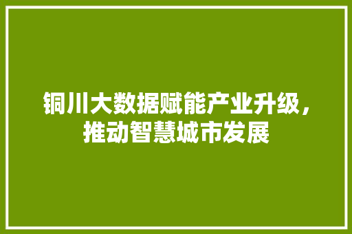 铜川大数据赋能产业升级，推动智慧城市发展