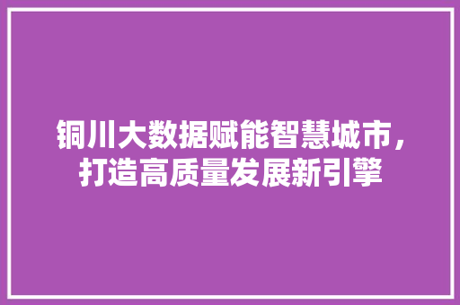 铜川大数据赋能智慧城市，打造高质量发展新引擎