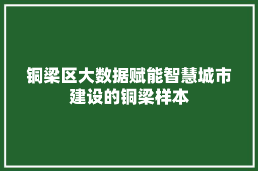 铜梁区大数据赋能智慧城市建设的铜梁样本