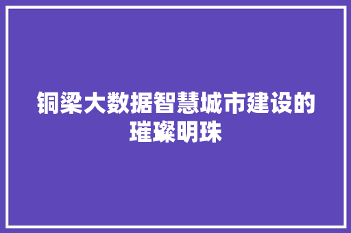铜梁大数据智慧城市建设的璀璨明珠