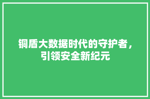 铜盾大数据时代的守护者，引领安全新纪元  第1张