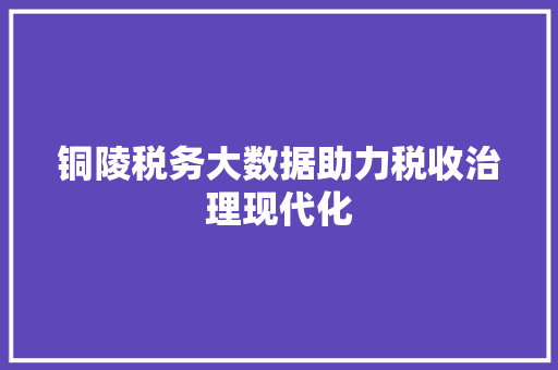 铜陵税务大数据助力税收治理现代化