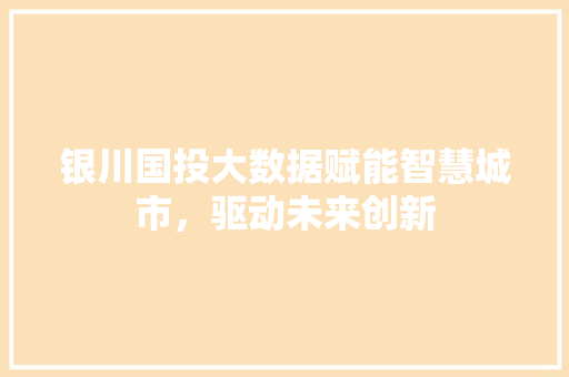 银川国投大数据赋能智慧城市，驱动未来创新  第1张
