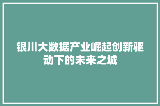 银川大数据产业崛起创新驱动下的未来之城  第1张