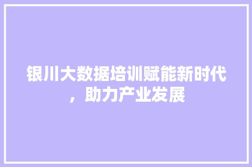 银川大数据培训赋能新时代，助力产业发展  第1张