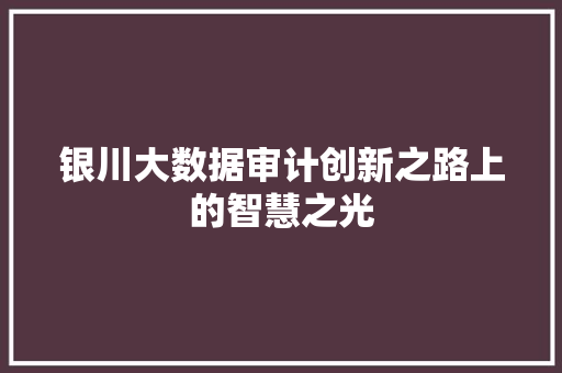 银川大数据审计创新之路上的智慧之光