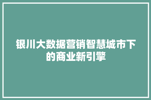 银川大数据营销智慧城市下的商业新引擎