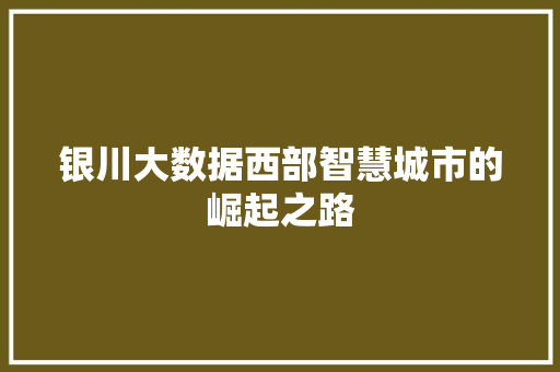 银川大数据西部智慧城市的崛起之路  第1张