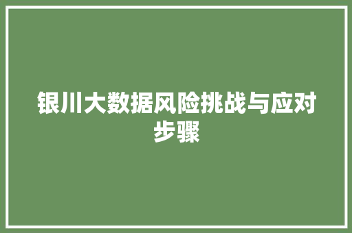 银川大数据风险挑战与应对步骤