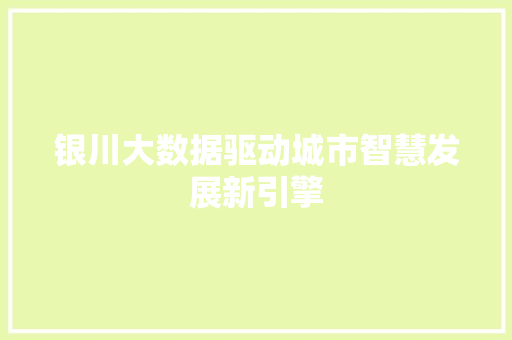银川大数据驱动城市智慧发展新引擎