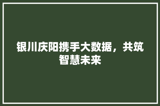 银川庆阳携手大数据，共筑智慧未来