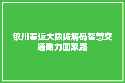 银川春运大数据解码智慧交通助力回家路