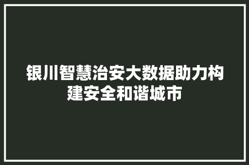 银川智慧治安大数据助力构建安全和谐城市