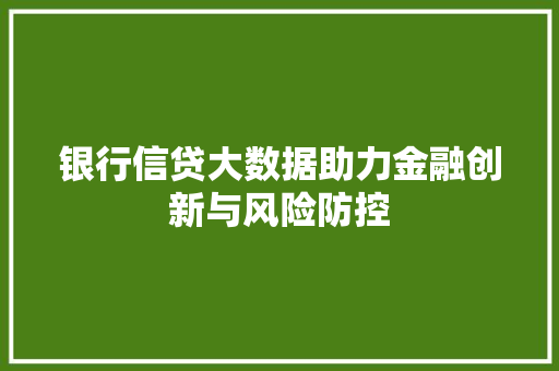 银行信贷大数据助力金融创新与风险防控  第1张