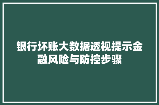 银行坏账大数据透视提示金融风险与防控步骤
