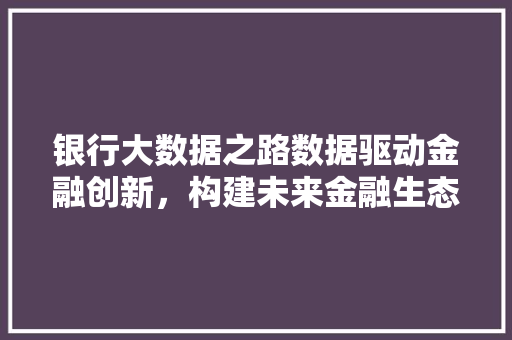 银行大数据之路数据驱动金融创新，构建未来金融生态  第1张