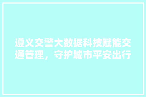 遵义交警大数据科技赋能交通管理，守护城市平安出行