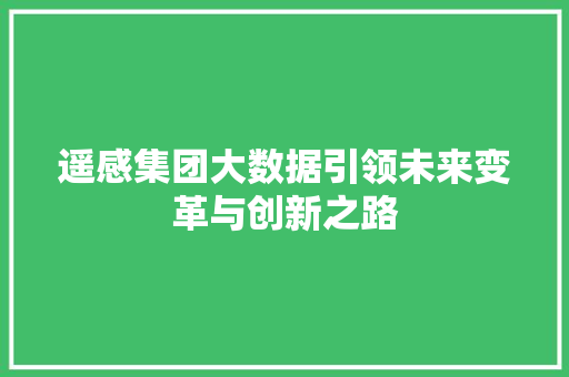 遥感集团大数据引领未来变革与创新之路