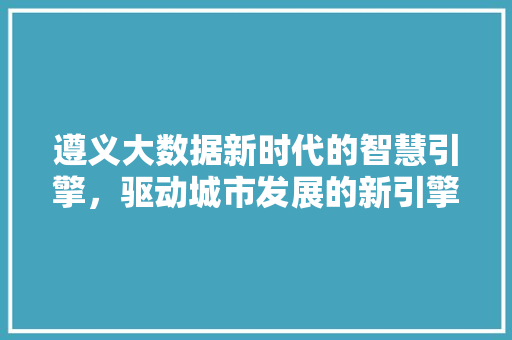 遵义大数据新时代的智慧引擎，驱动城市发展的新引擎