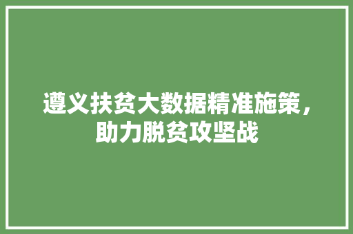 遵义扶贫大数据精准施策，助力脱贫攻坚战