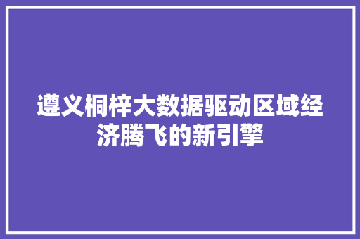 遵义桐梓大数据驱动区域经济腾飞的新引擎