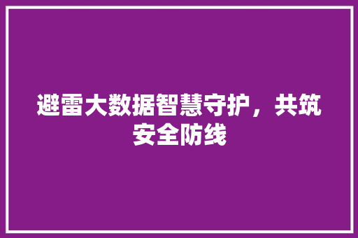 避雷大数据智慧守护，共筑安全防线  第1张