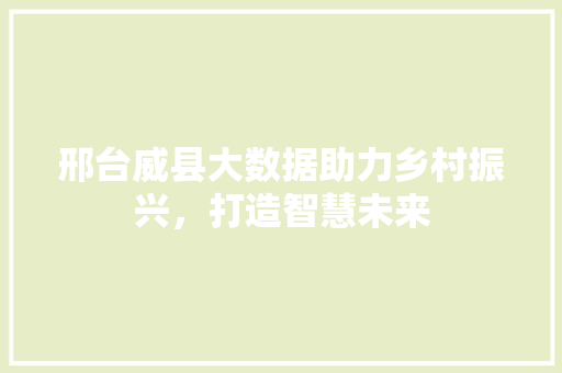 邢台威县大数据助力乡村振兴，打造智慧未来