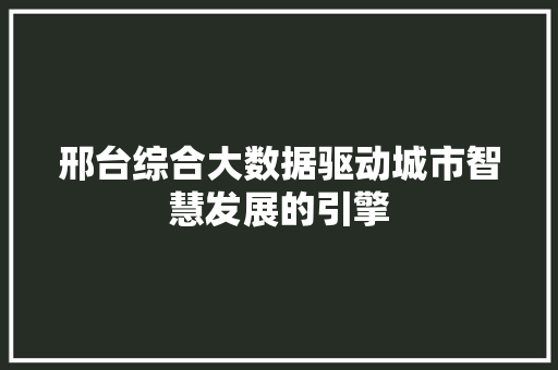 邢台综合大数据驱动城市智慧发展的引擎