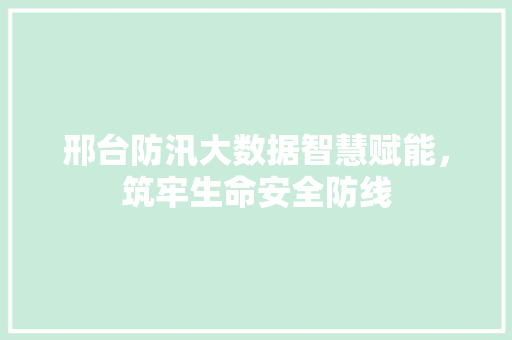 邢台防汛大数据智慧赋能，筑牢生命安全防线