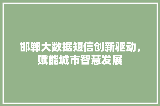 邯郸大数据短信创新驱动，赋能城市智慧发展