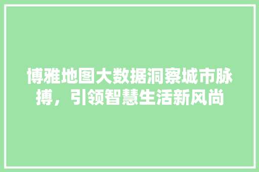 博雅地图大数据洞察城市脉搏，引领智慧生活新风尚