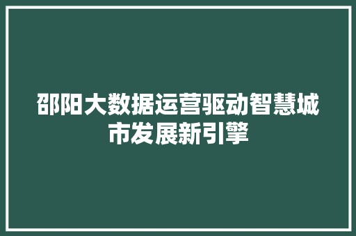 邵阳大数据运营驱动智慧城市发展新引擎