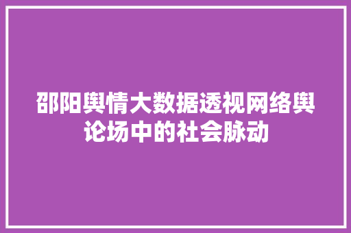 邵阳舆情大数据透视网络舆论场中的社会脉动
